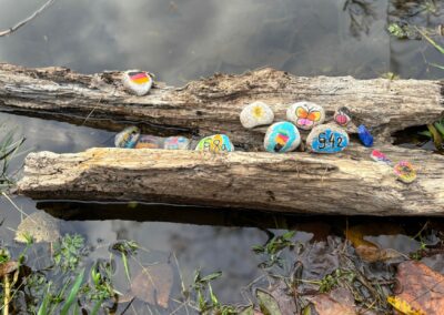 Foto von bemalten Steinen auf einem Stück Holz in einem Bach.